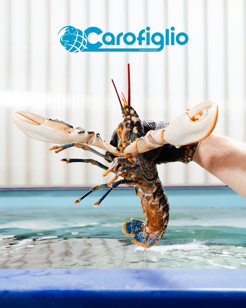 Pescherie Carofiglio - Agenzia Straordinaria